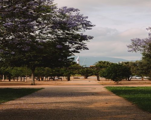 Quiet park path for a calm walk in Santiago
